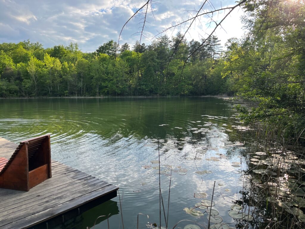 Het meertje bij Agricampeggio Madonna di Pogi