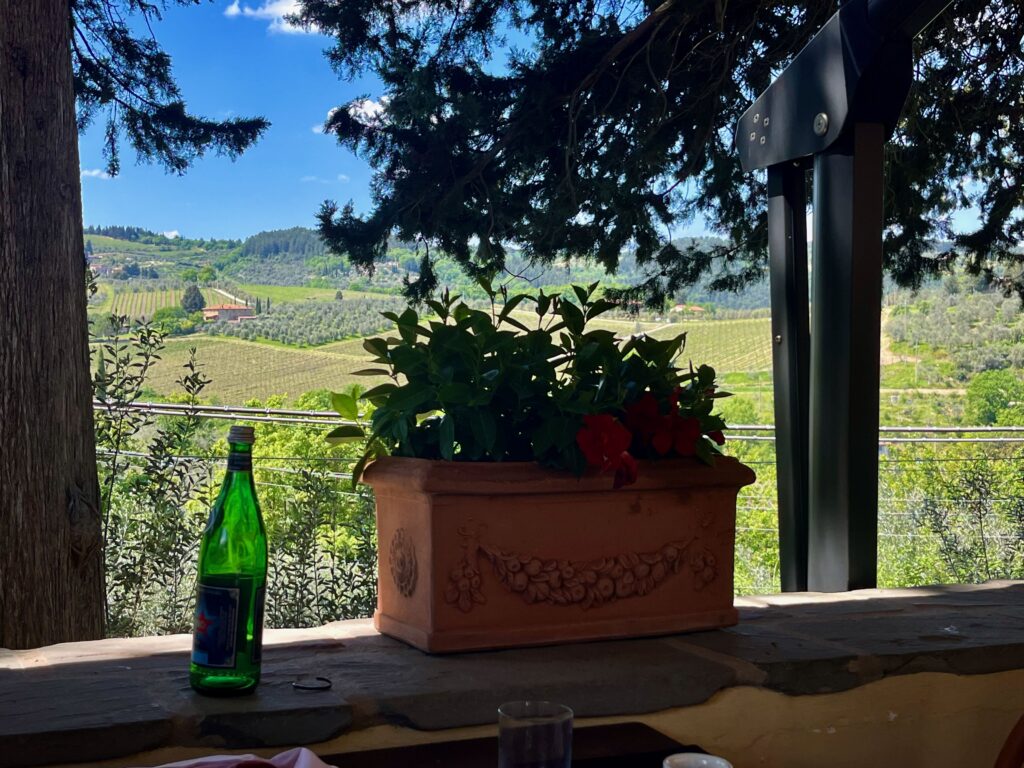 Uitzicht vanaf het terras van La Castellana