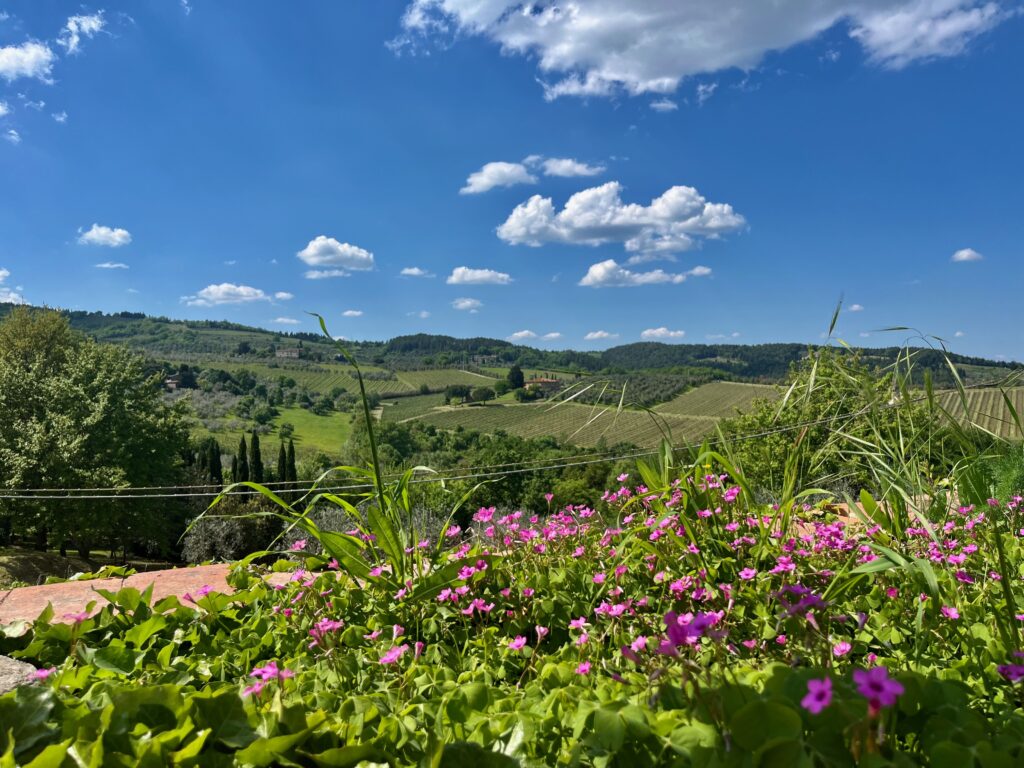 De Chianti bij Montefioralle