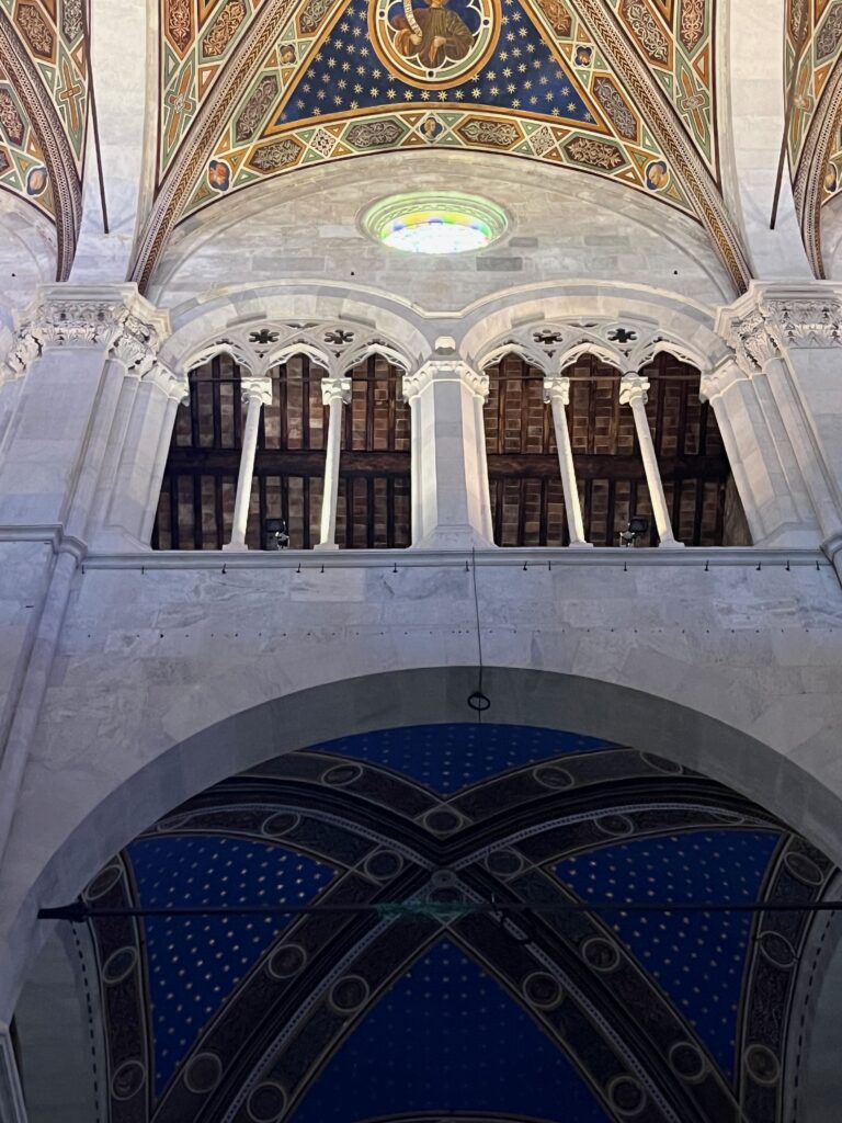 De prachtige binnenkant van de kathedraal van Lucca