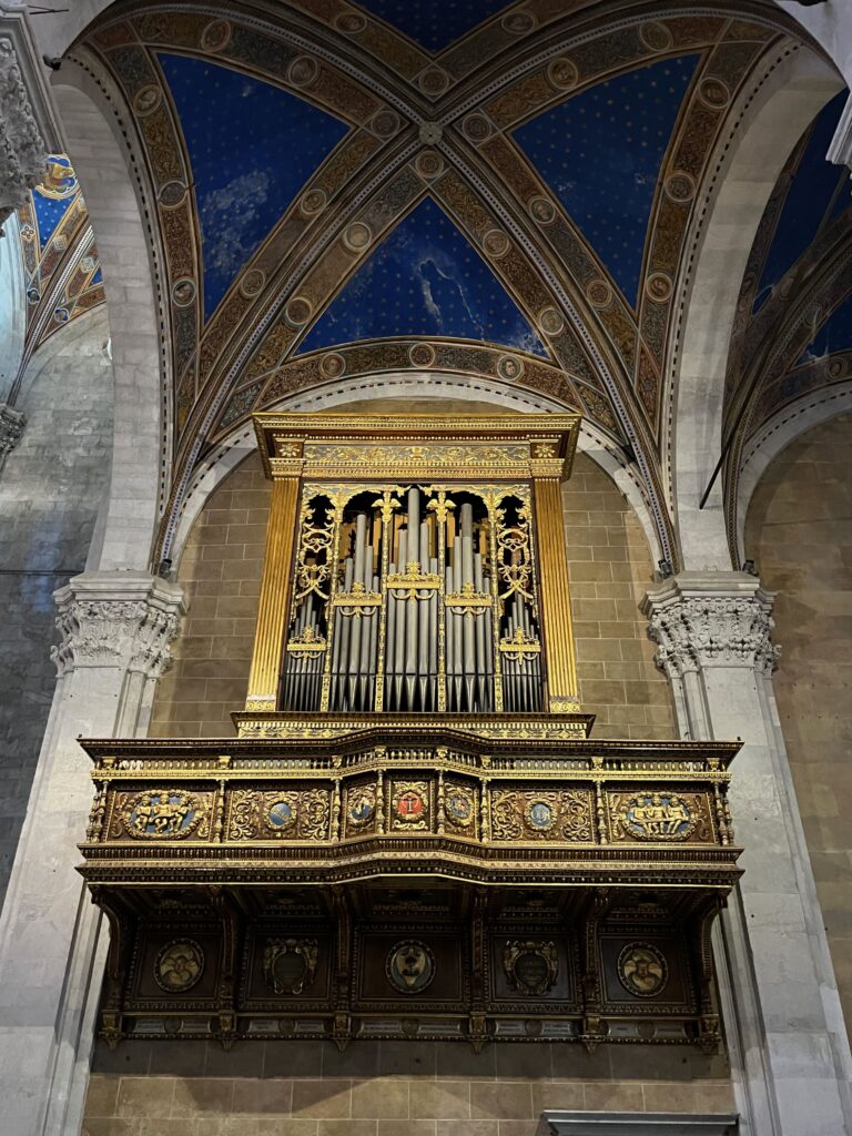 Eén van de orgels in de kathedraal