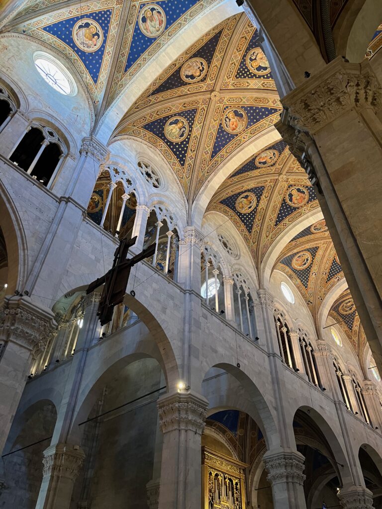 De schitterende binnenkant van de Cattedrale di San Martino