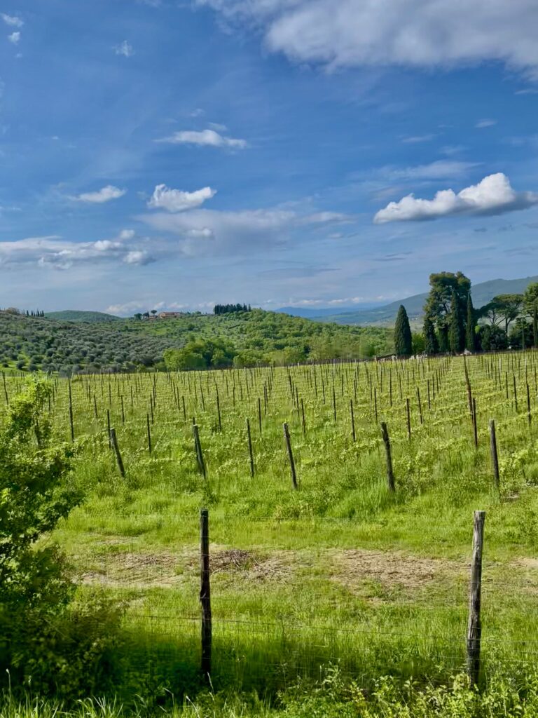 De Chianti vlak voor Panzano
