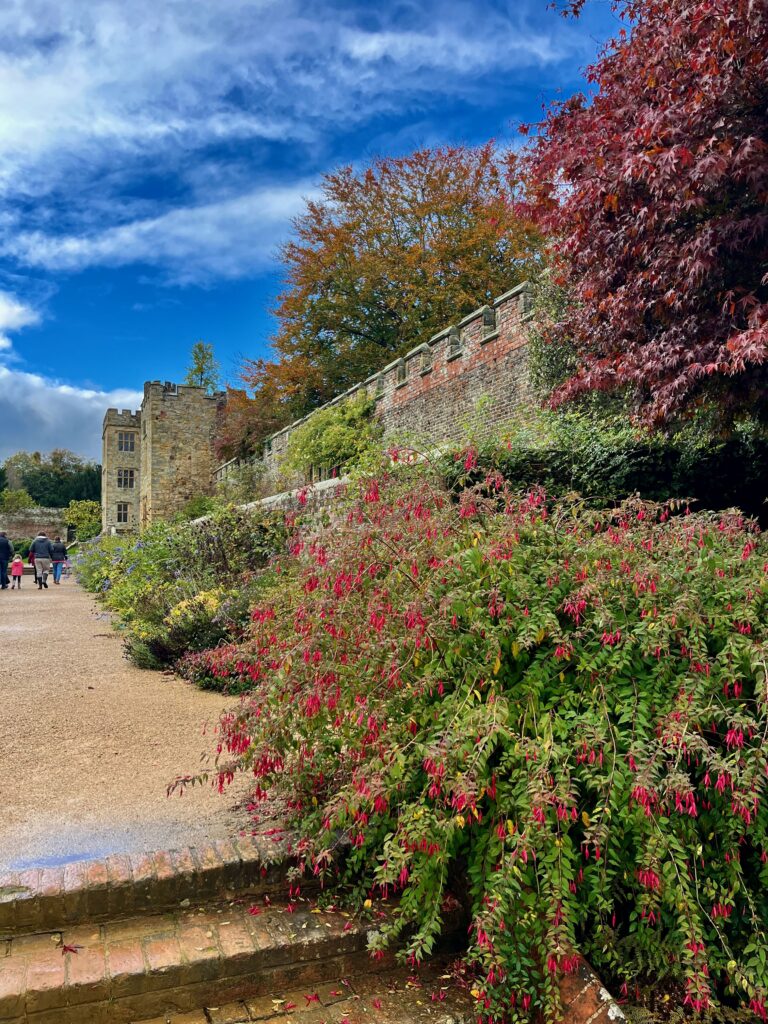Penshurst Gardens zijn zelfs in de herfst nog mooi en in bloei!