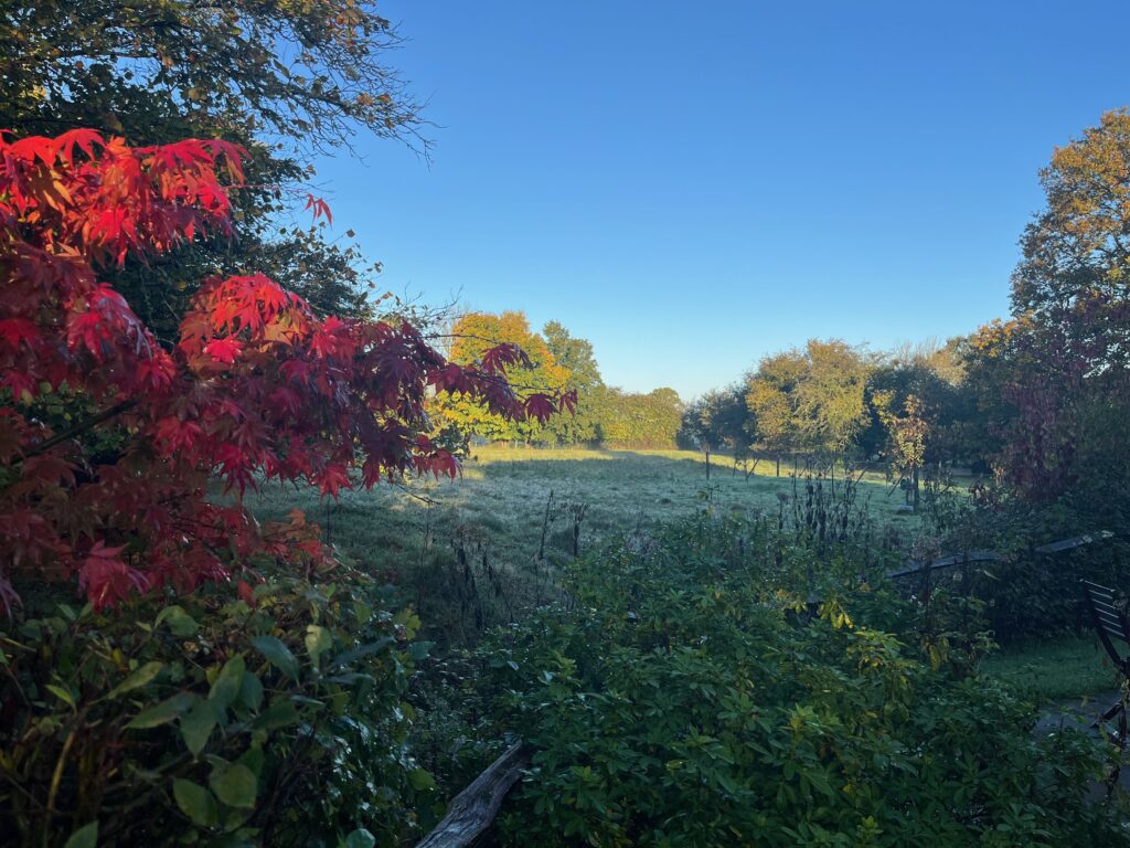 Uitzicht vanuit Bakers Farm Oost