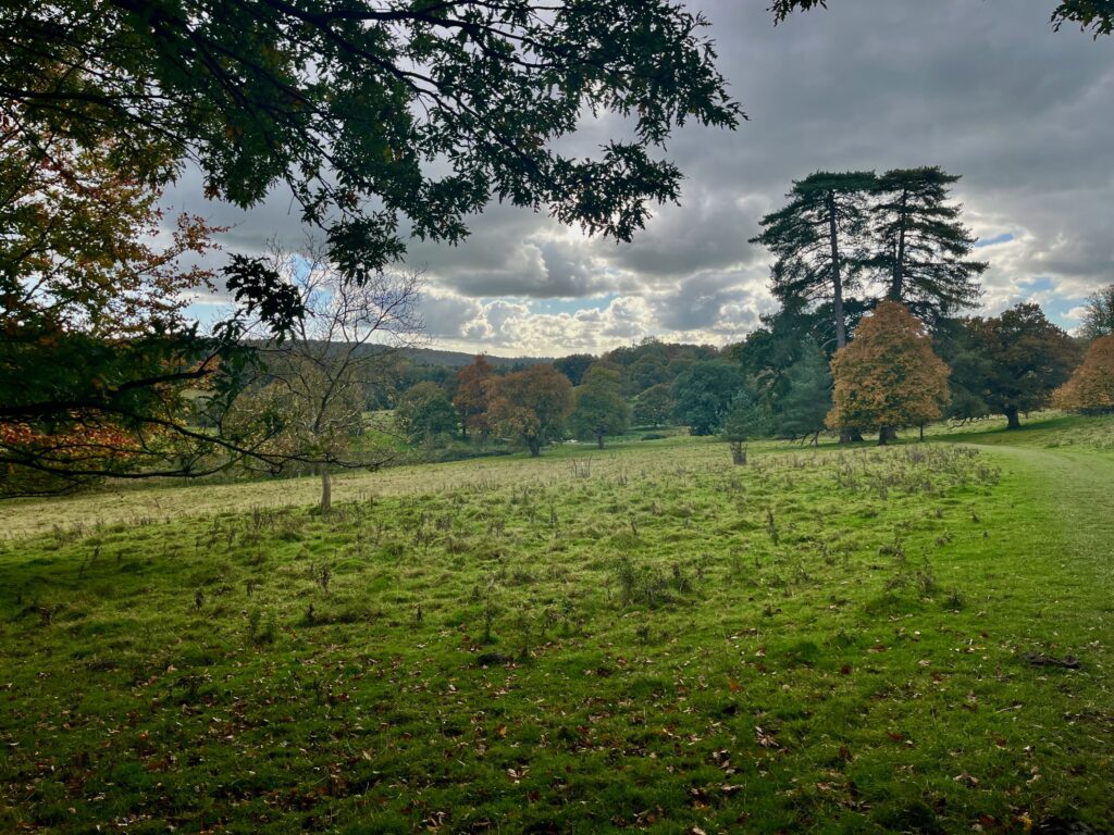 Nog één keer dat mooie landschap van de High Weald