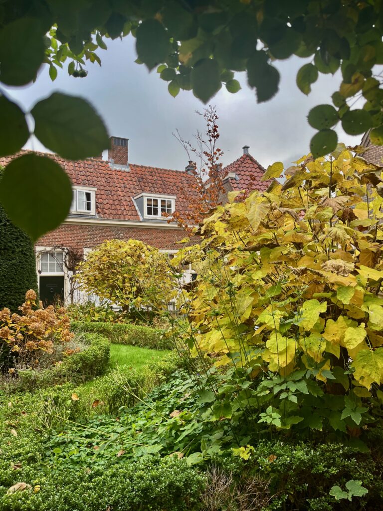 Omsluierde blik op het eerste hofje