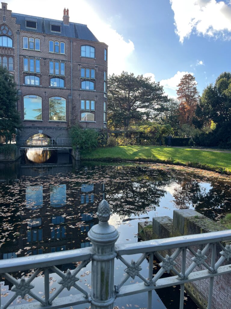 Hortus, Academiewijk en Levendaal: Het Veth-gebouw dat tussen de Nonnensteeg en de Hortus ligt