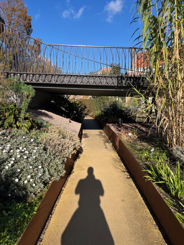 Hortus, Academiewijk en Levendaal: De brug die de Sterrenwacht met het Sterrenpark verbindt
