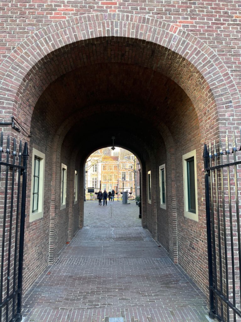 Hortus, Academiewijk en Levendaal: De doorgang naar het Academiegebouw