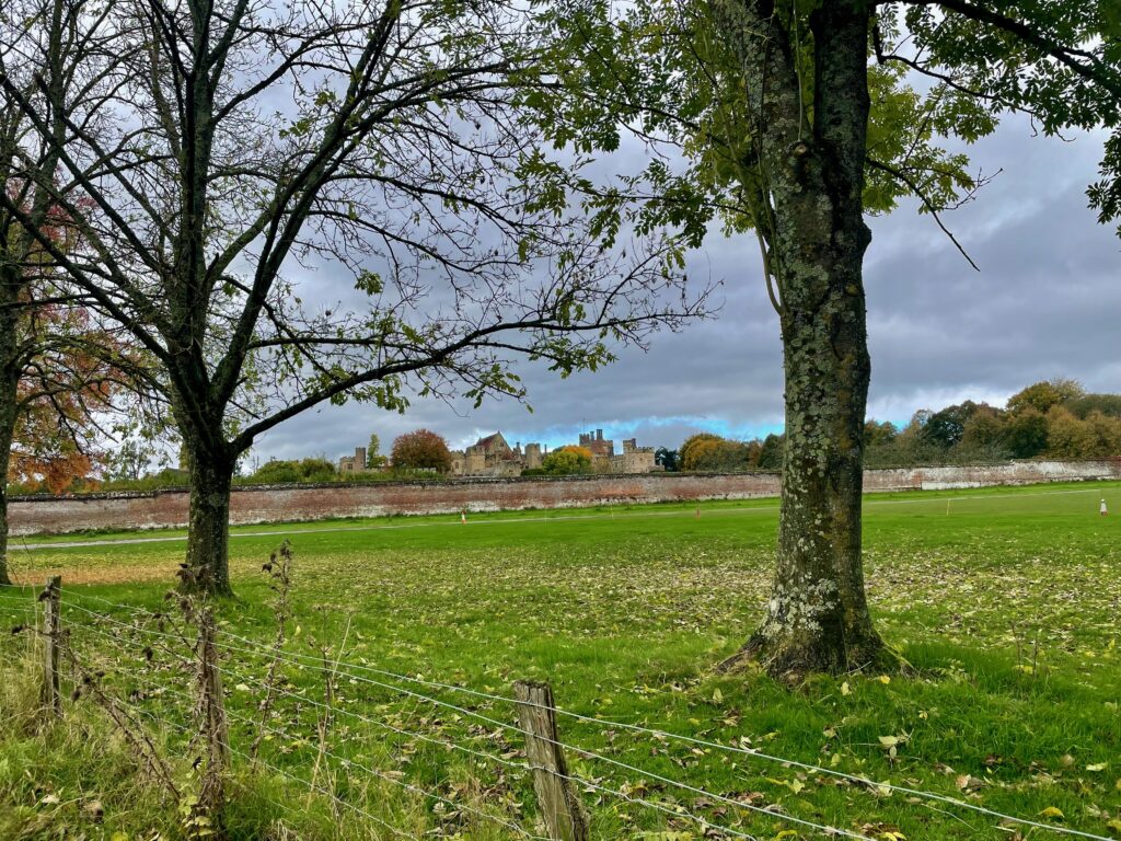 Bezienswaardigheden in East-Sussex en Kent: Penshurst Place vanaf de oprijlaan