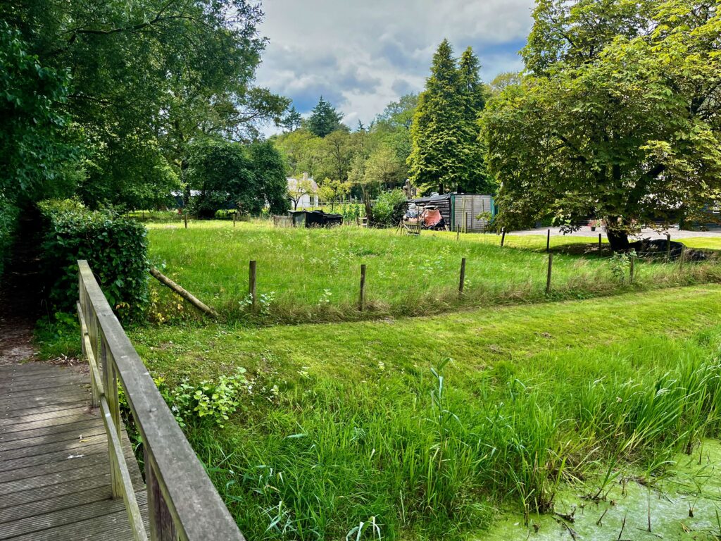 De wandeling naar de Ambtenarenhuisjes van Frederiksoord