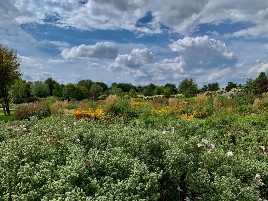De mooiste tuinen van Nederland: Bloemenpark Appeltern