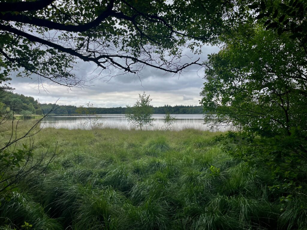 Het Étang de Paimpont tijdens onze wandeling