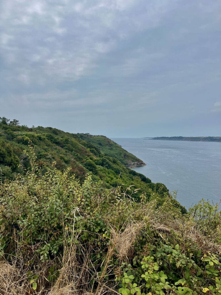 Blik langs de Pointe des Espagnols