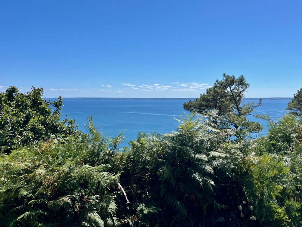 De mooiste kapen van West-Bretagne: Langs de D255 naar Cap de la Chèvre