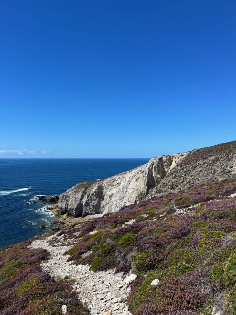 De mooiste kapen van West-Bretagne: Wandelen door kleuren langs de Cap de la Chèvre