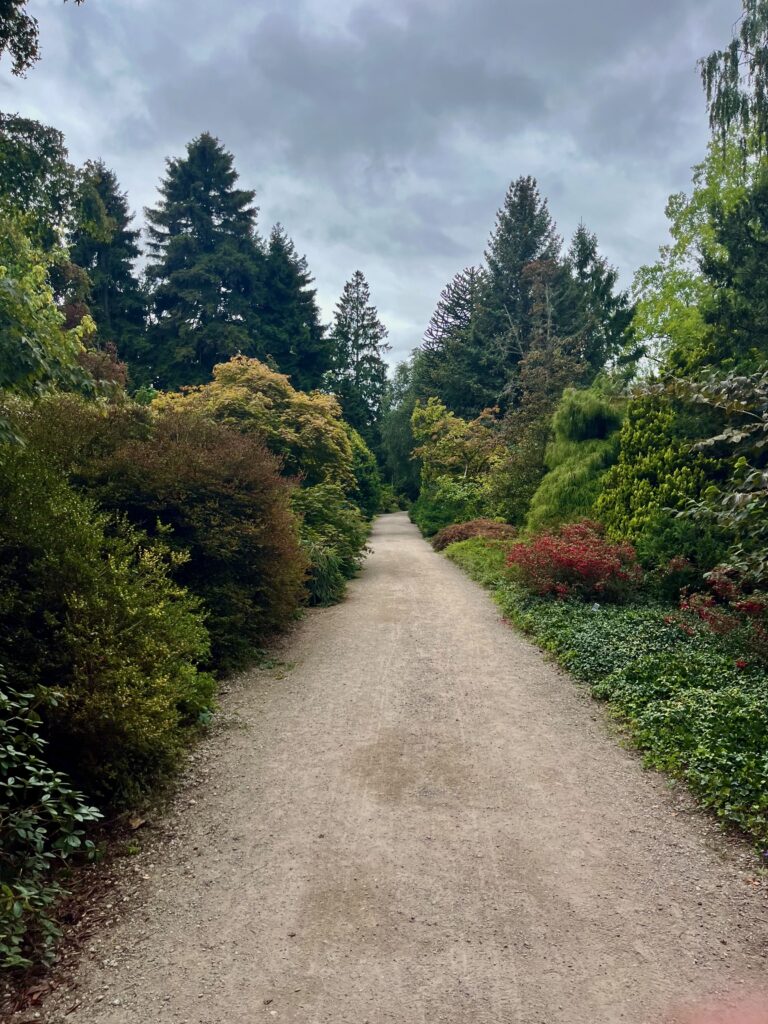 De mooiste tuinen van Nederland: Het hoofdpad door het Nationaal Bomenmuseum