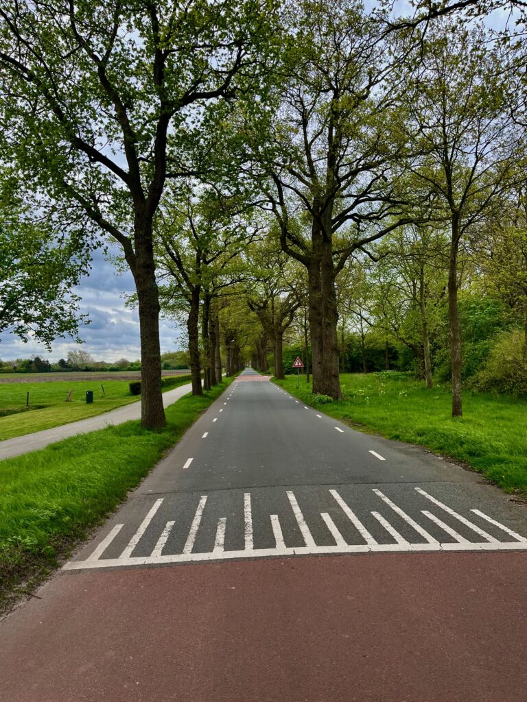 De Anserweg voor Ansen