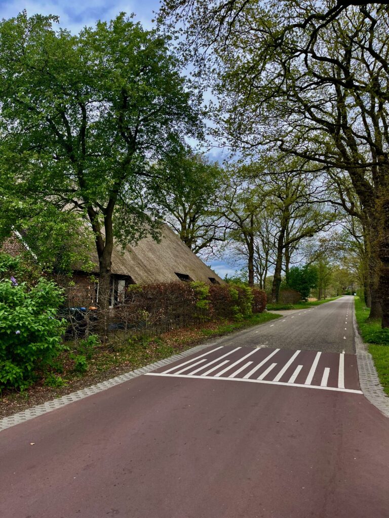 De Dwingelderweg naar Ansen