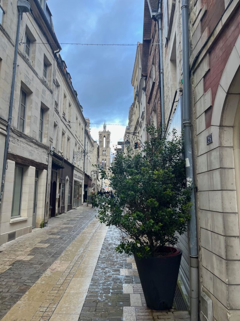 De Rue Châtelaine met daarachter de kathedraal