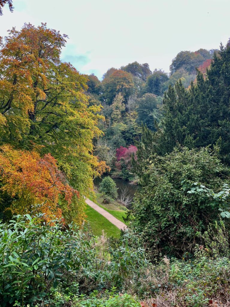 Paradise Walk in Ilam Park