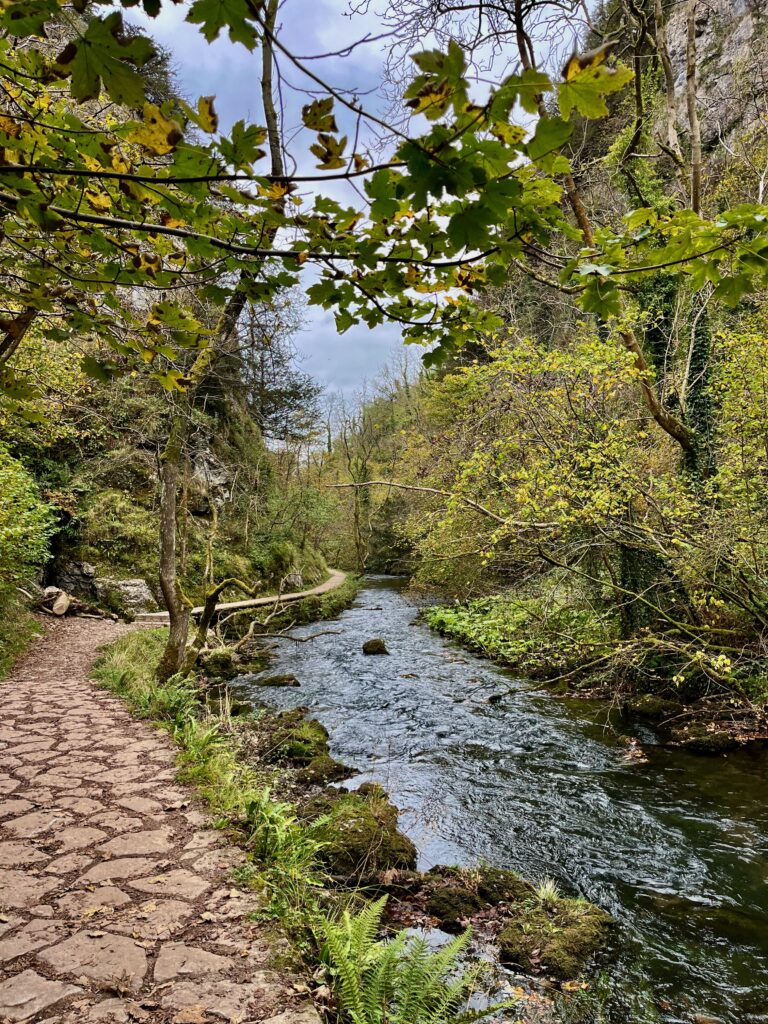 Wandelen door Dovedale: Het prachtige wandelpad dat door Dovedale kronkelt