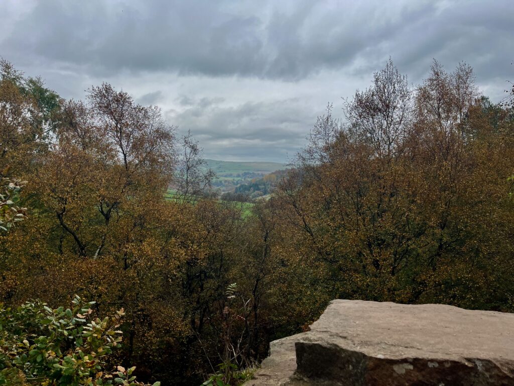 Lud’s Church en The Roaches: Uitzicht bij Castle Cliff Rocks