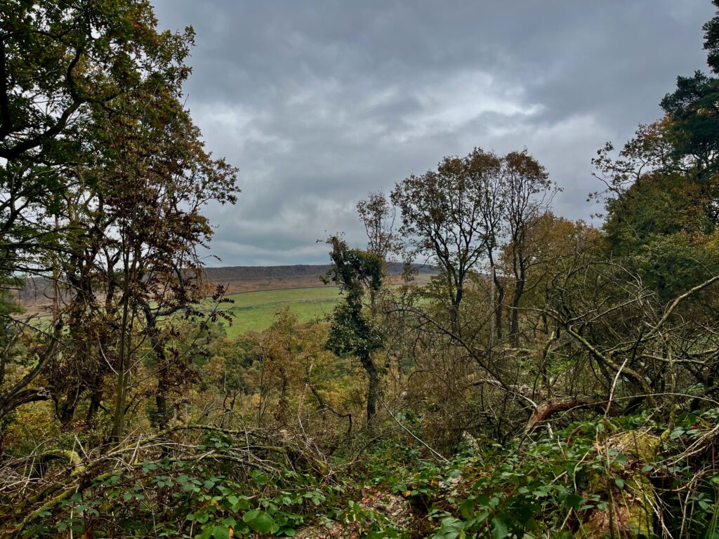 De hoge stenen rug van Gradbach Hill