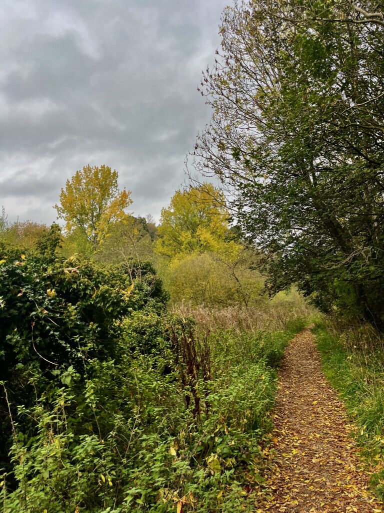 Het eerste stuk van het pad richting Lathkill Dale
