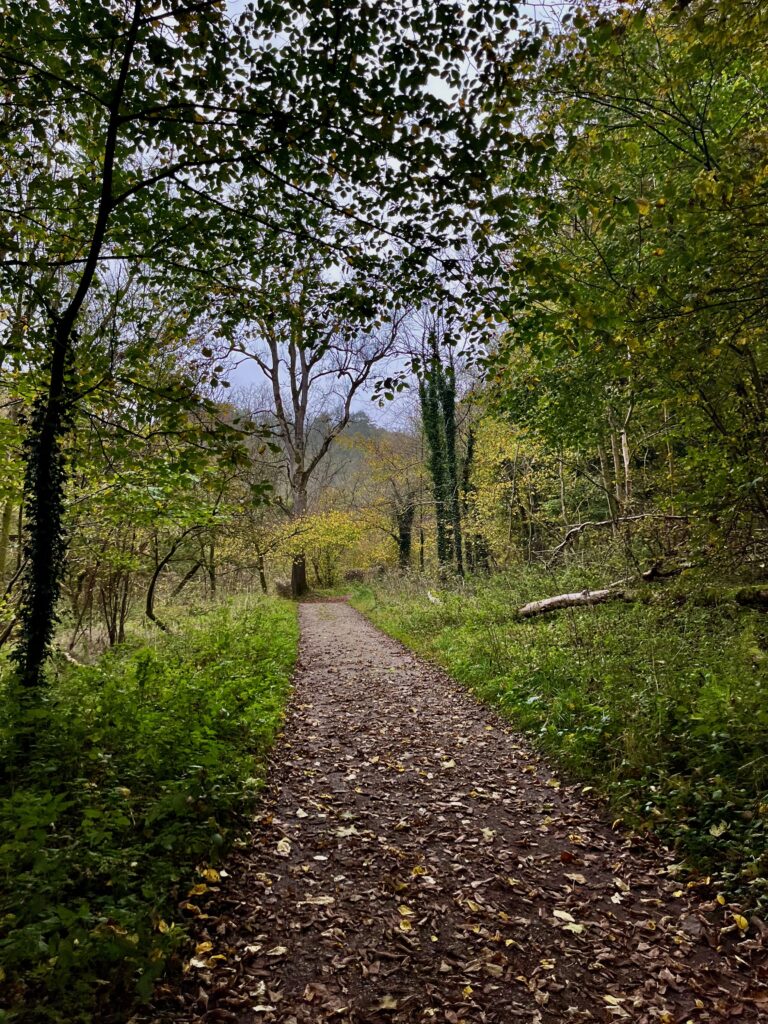 Haddon Hall en Lathkill Dale: Het ‘droge’ stuk van Lathkill Dale