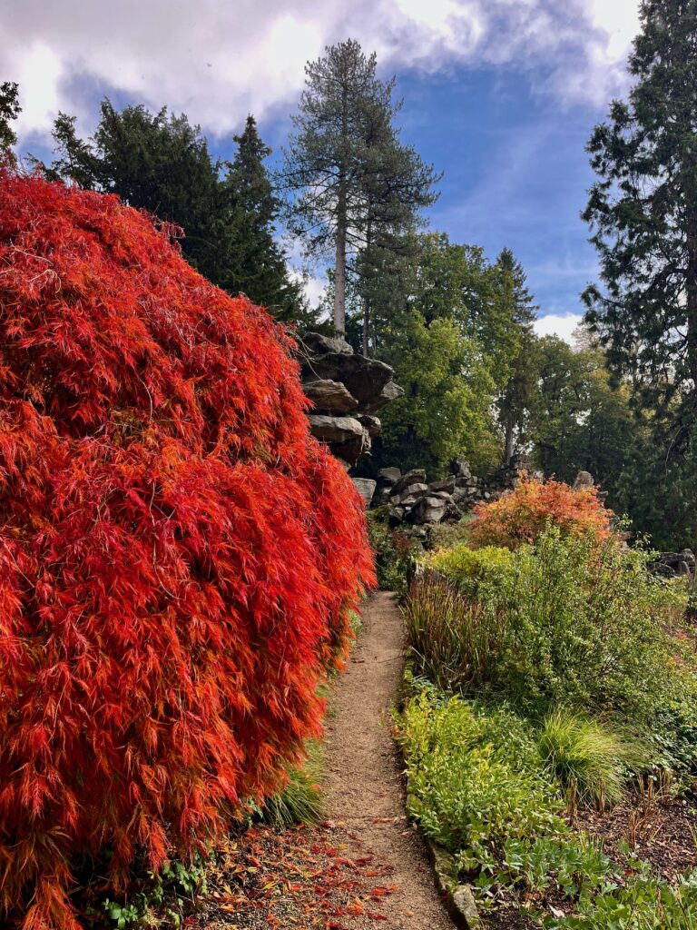 Chatsworth House en Baslow Edge: Vurige kleuren in de Rock Garden