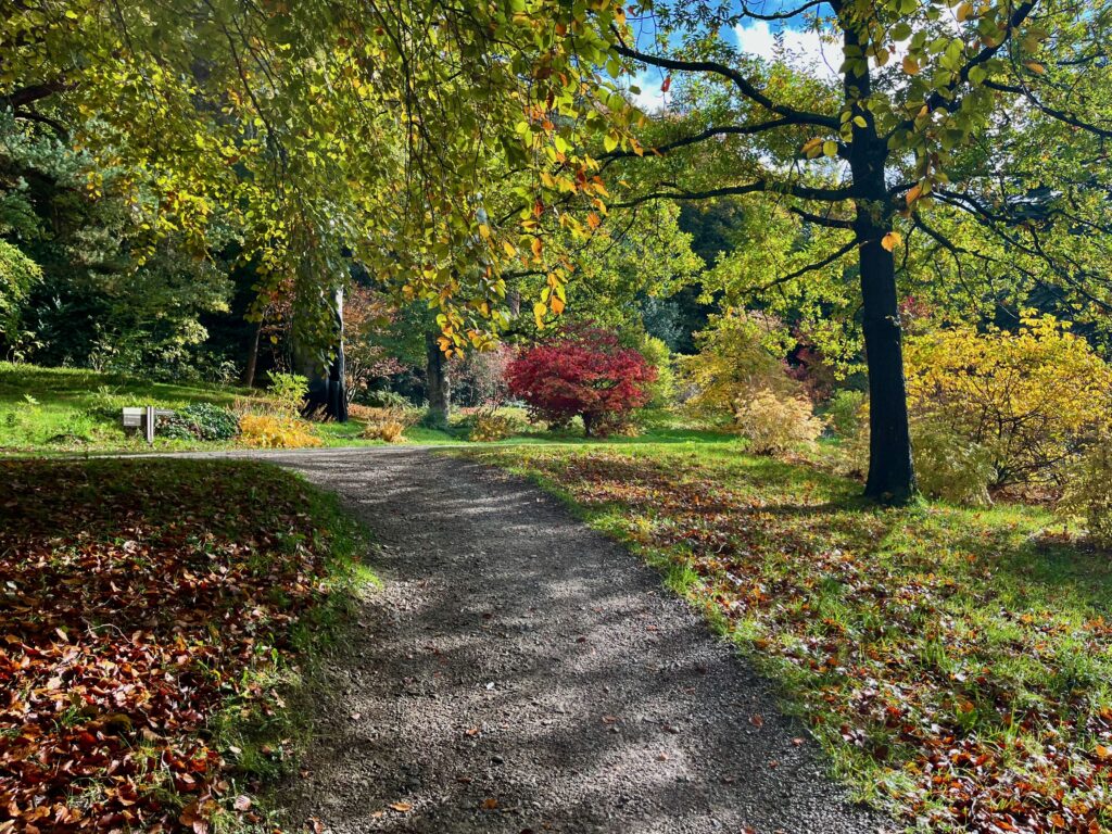 Hoger de tuin in richting de Trout Stream
