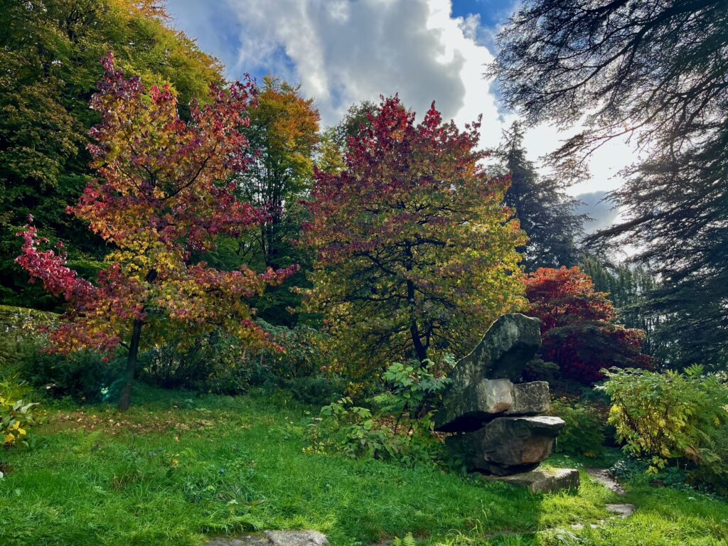 Langs de Trout Stream