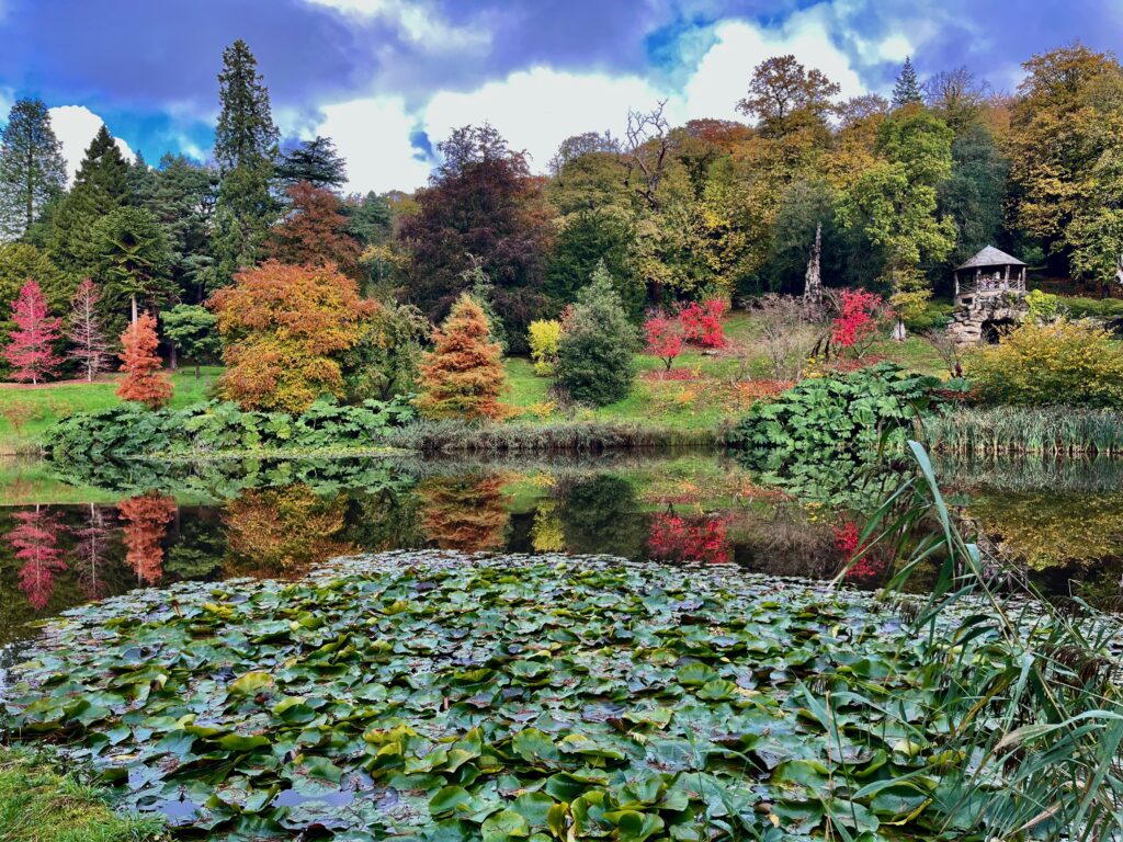 The Pond