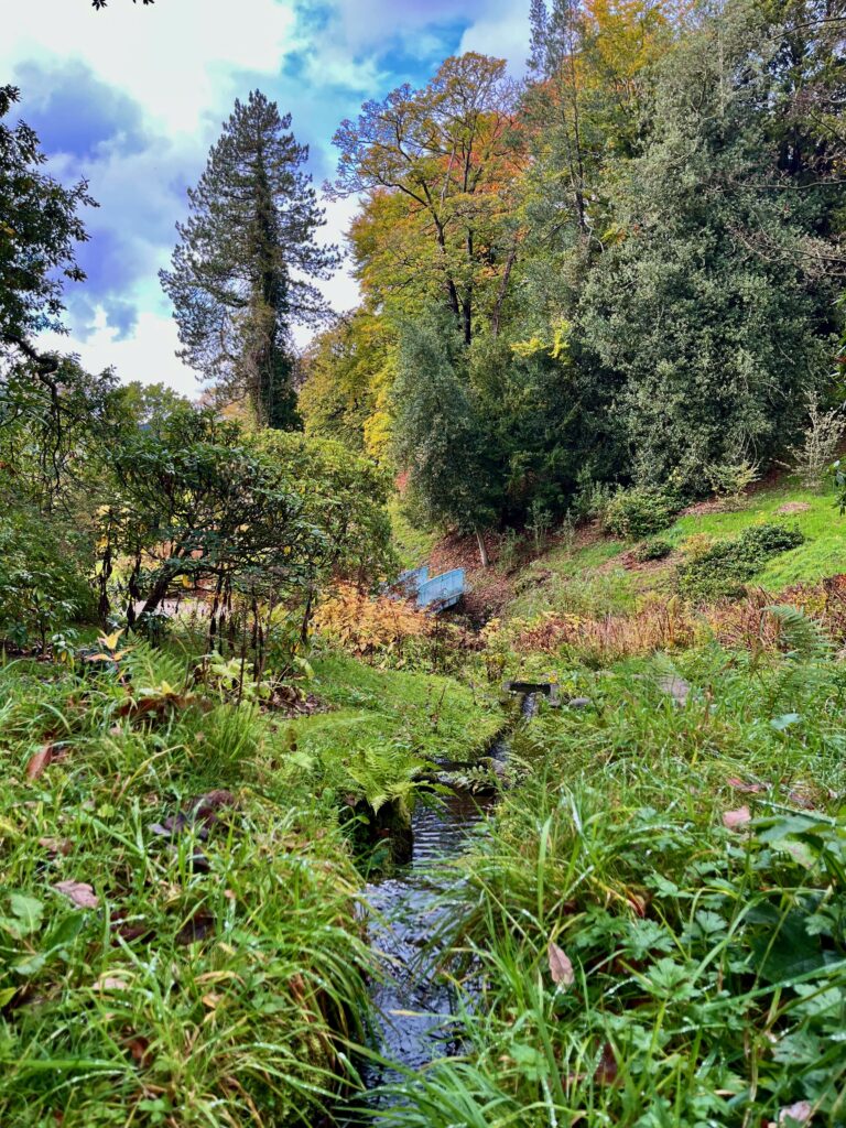 The Ravine