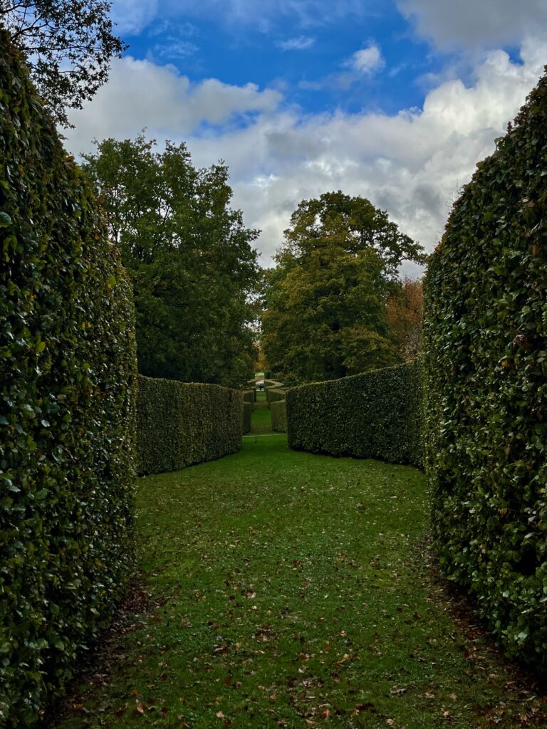 The Serpentine Hedge