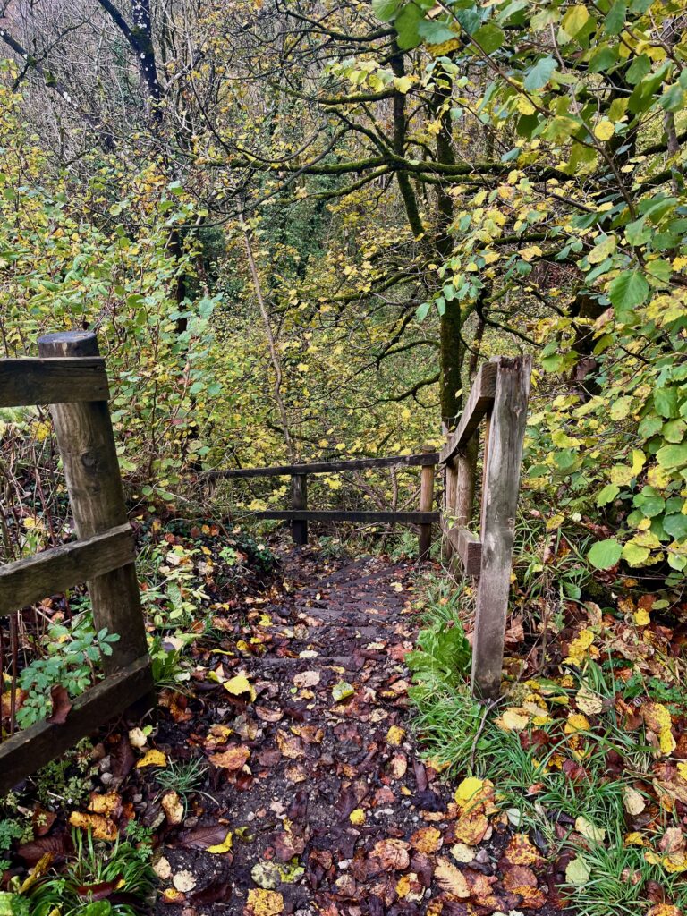 Het pand naar beneden naar Chee Dale op de Monsal Trail