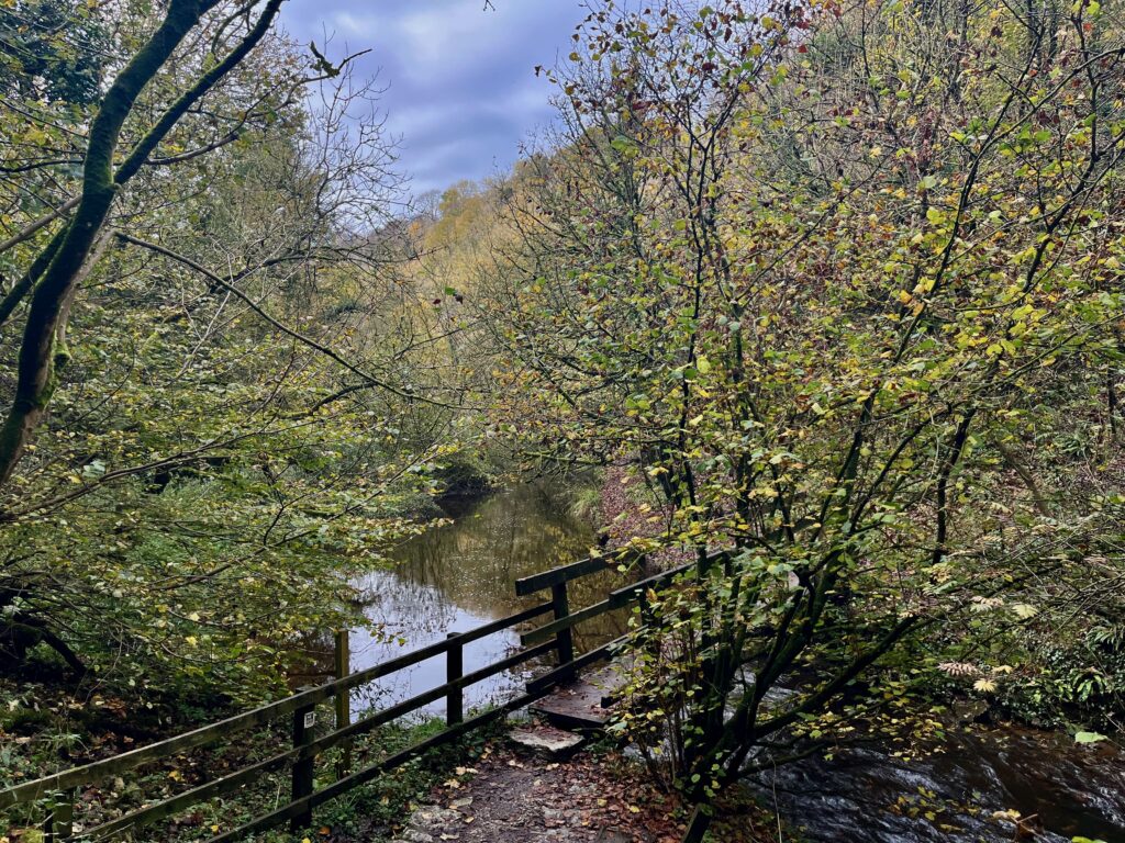 Het bruggetje bij de tweede serie Stepping Stones