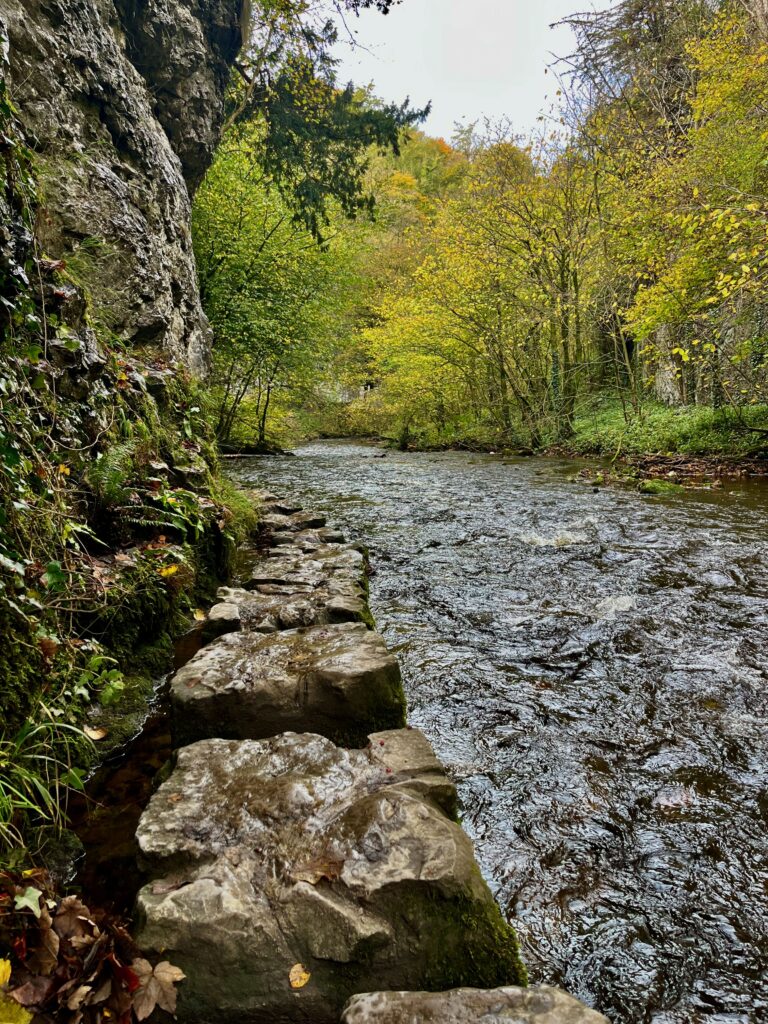 De tweede serie stepping stones door Chee Dale