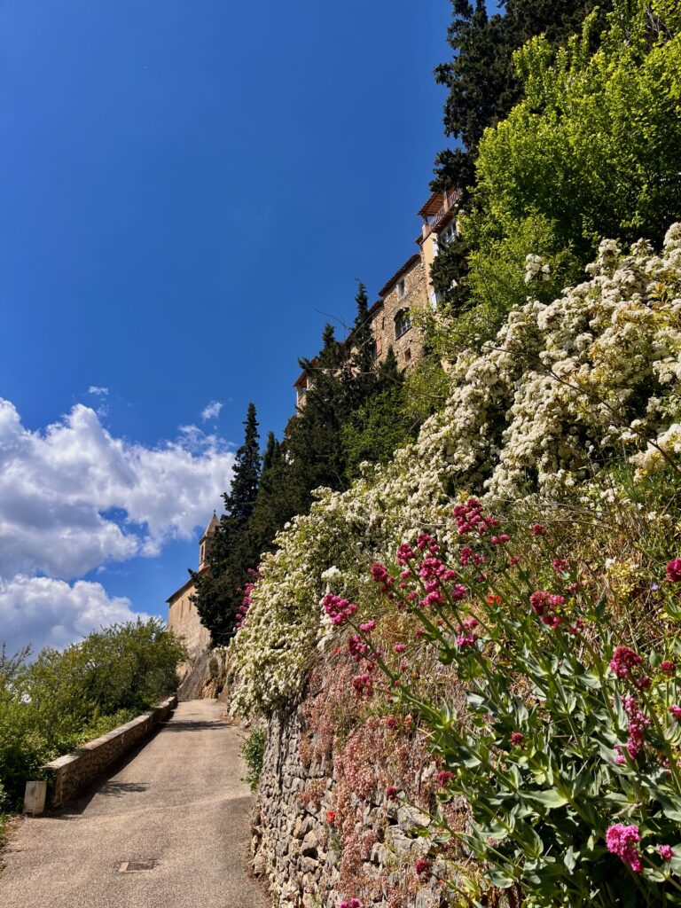 De bloemenpracht in de Basse Rue van Montbrun-les-Bains nog een keer in beeld