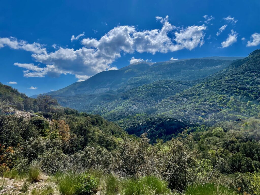 De Mont Ventoux in zicht!