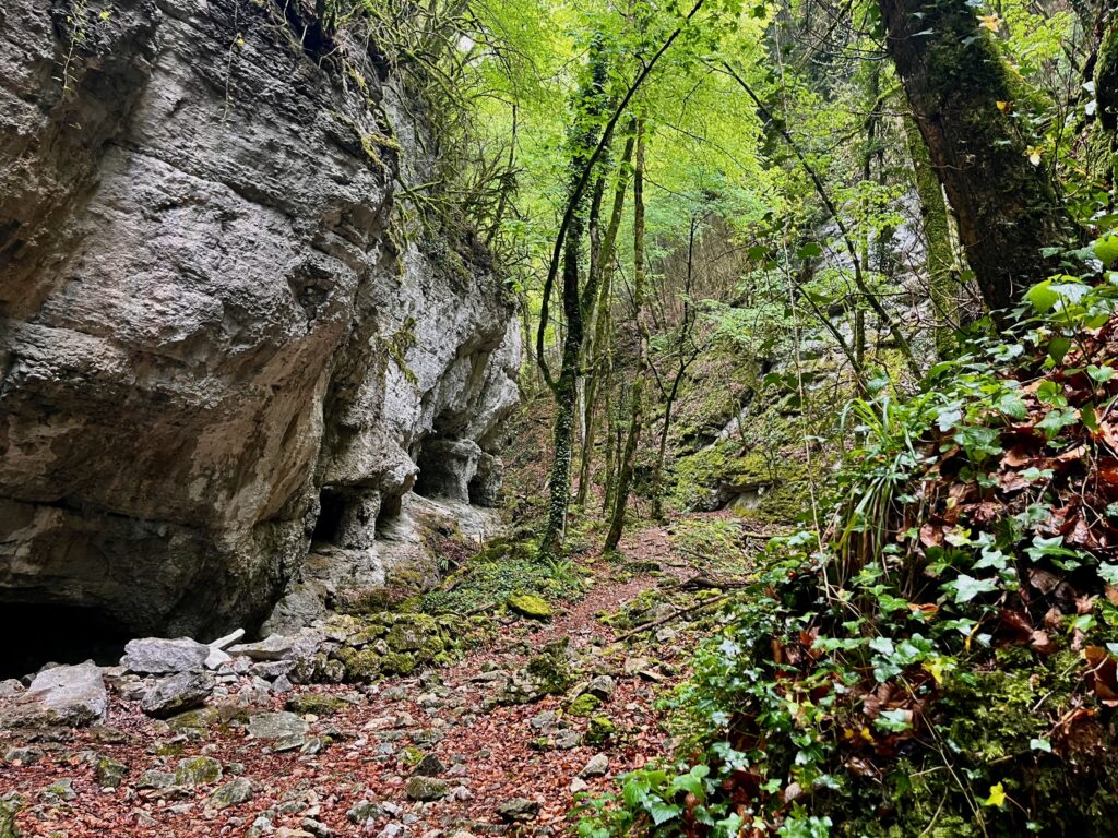 Door de bedding van de Vèbre in het Fôret de Saou