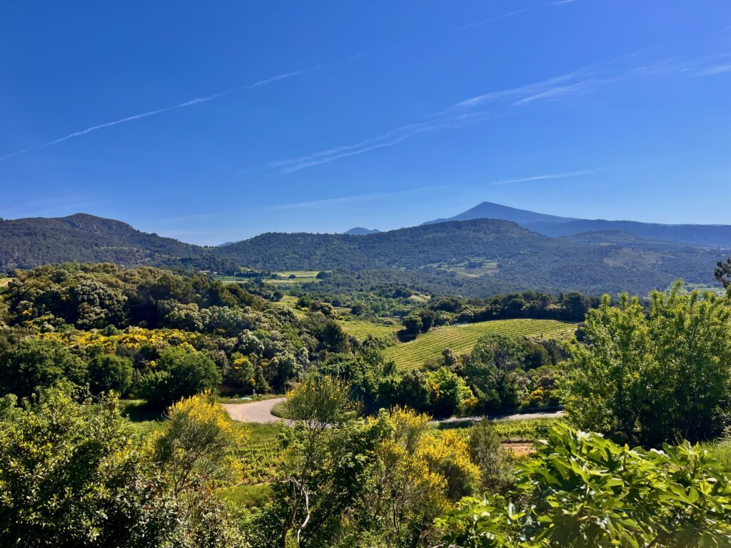 Roadtrip door de Dentelles de Montmirail: Uitzicht op de Mont Ventoux bij Suzette