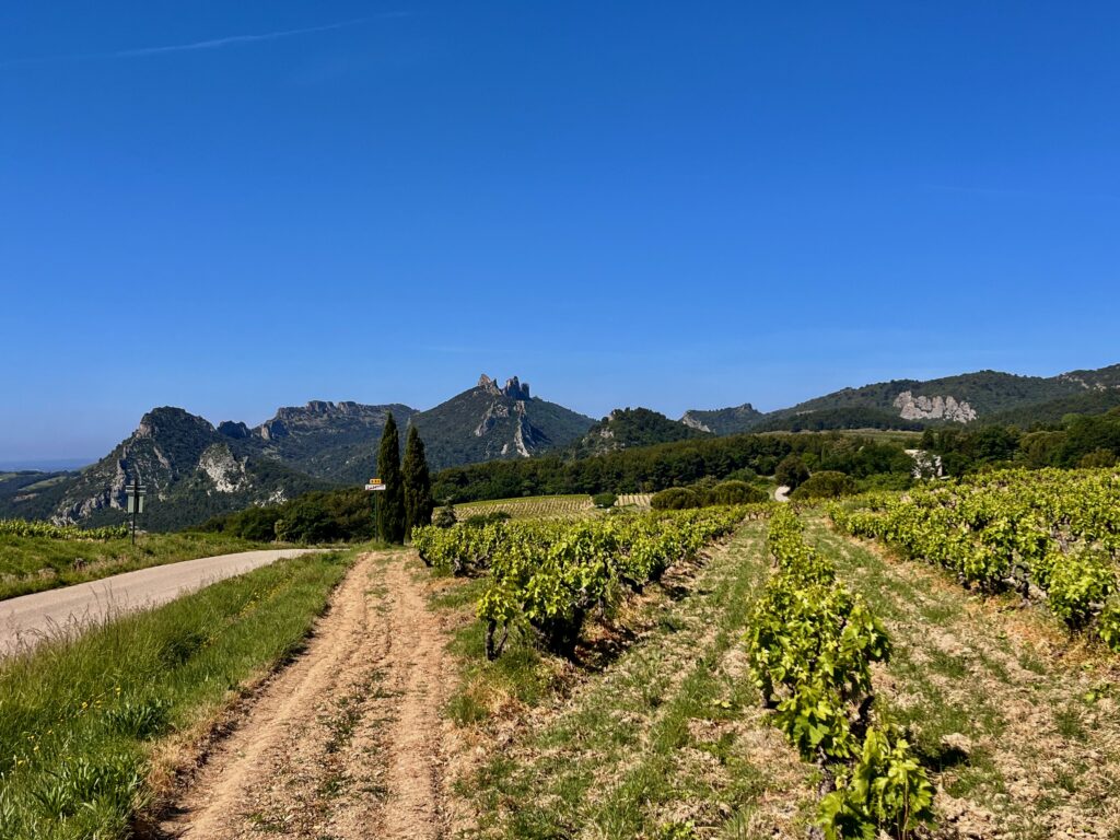Roadtrip door de Dentelles de Montmirail: Uitzicht op Le Grand Montmirail van de Dentelles