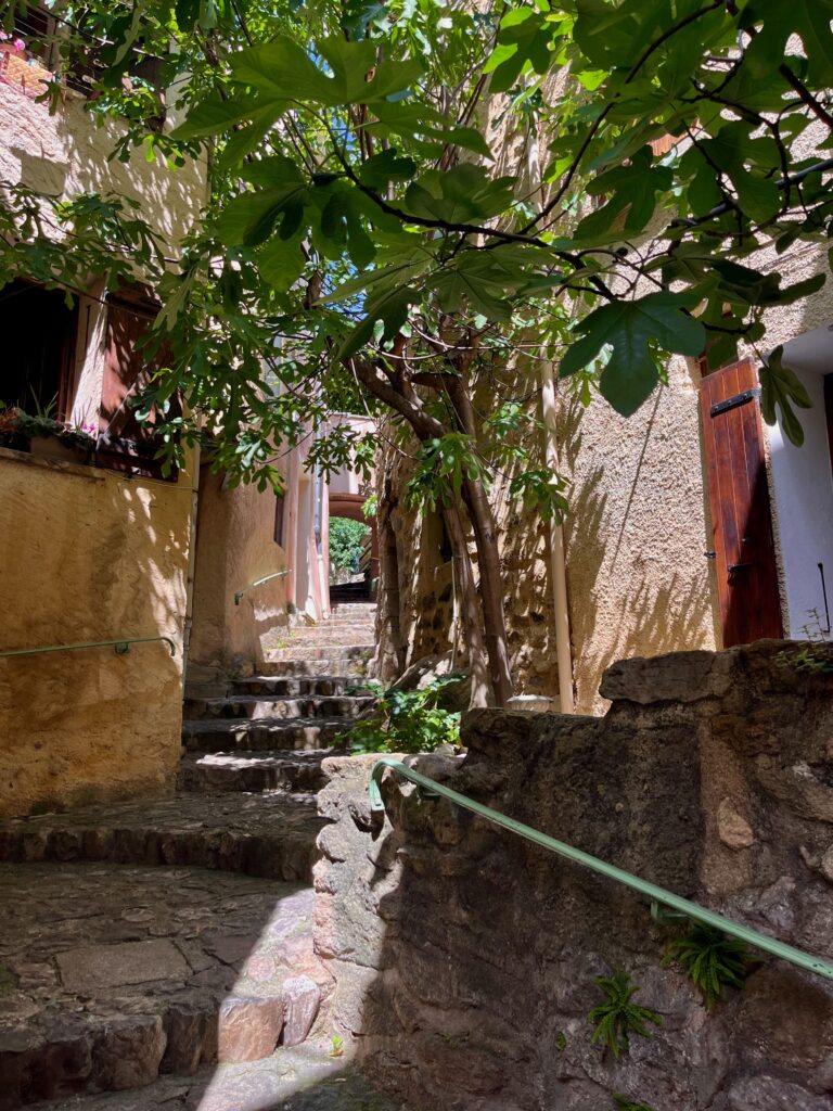 Roadtrip door de Dentelles de Montmirail: De Rue de la Chapelle vanuit de Rue des Grands Forts