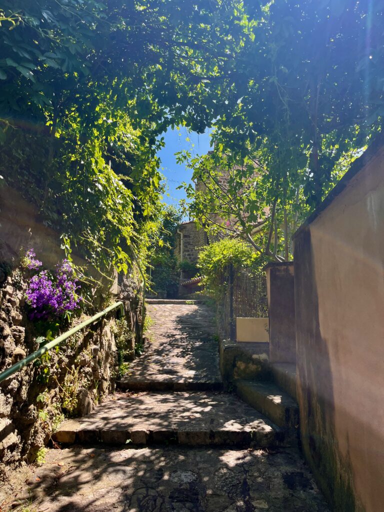 Roadtrip door de Dentelles de Montmirail: De prachtige Rue de la Chapelle