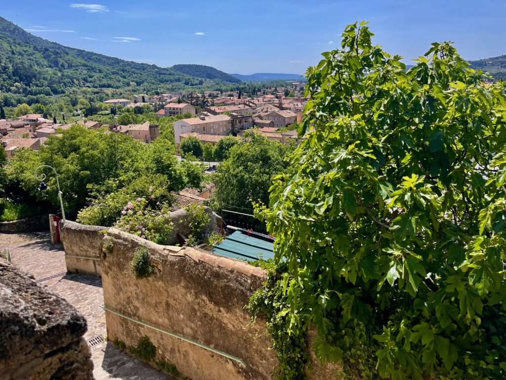 Roadtrip door de Dentelles de Montmirail: Uitzicht over Nyons vanaf de Rue de la Chapelle