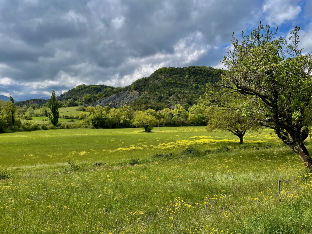De D156 vlakbij Bourdeaux