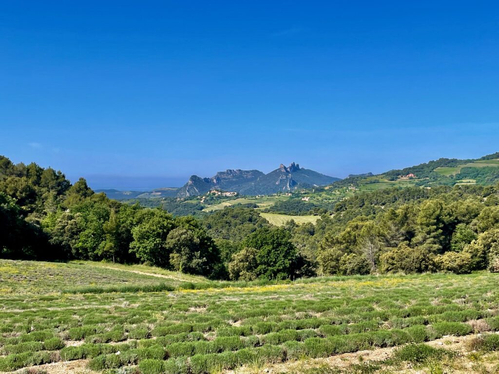 Roadtrip door de Dentelles de Montmirail: Uitzicht op de Dentelles op de D90 vlak voor Suzette